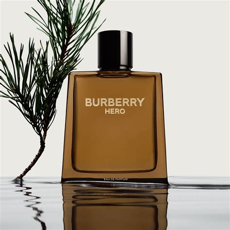 best Burberry perfume men